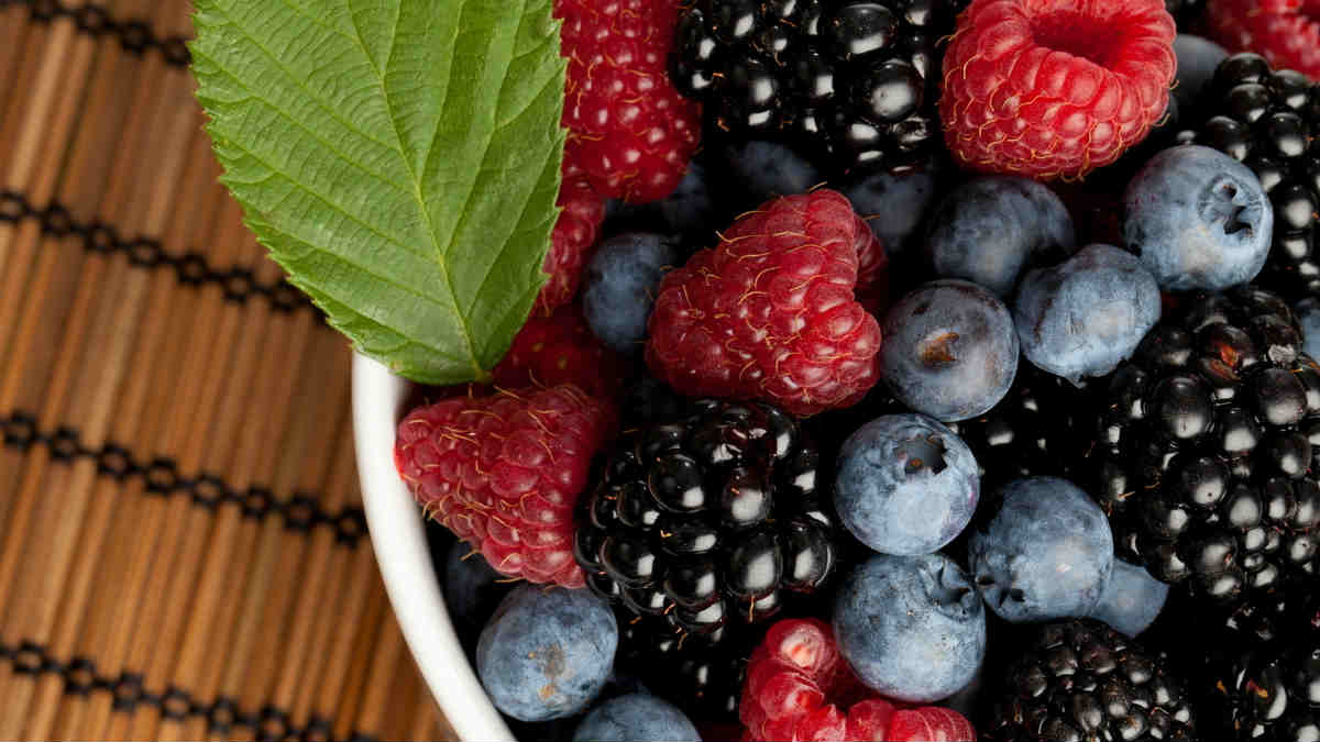 Φρούτο που λιώνει το λίπος: Πως τα μούρα βοηθούν στο αδυνάτισμα