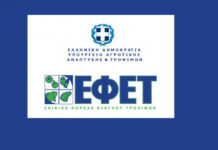 ΕΦΕΤ ανάκληση κεμπάπ
